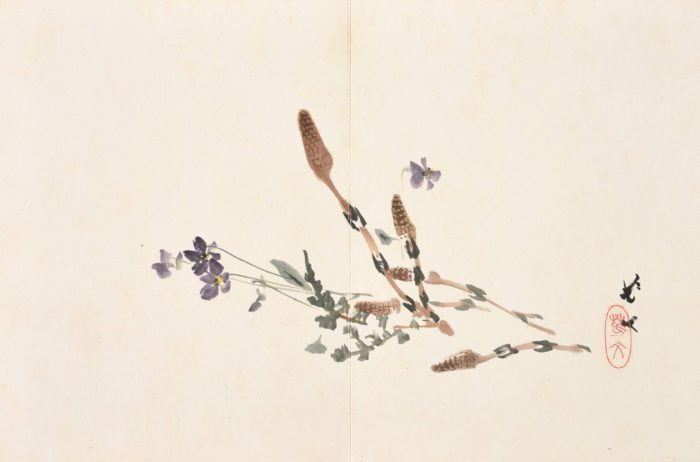 Hashimoto KansetsuMatsubayashi Keigetsu “Album of Paintings” 