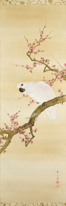 Mochizuki Gyokusei “Red Plum Blossom and Parrot” 