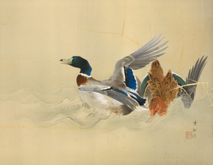 Ikegami Shuho “Two Ducks Swimming” 
