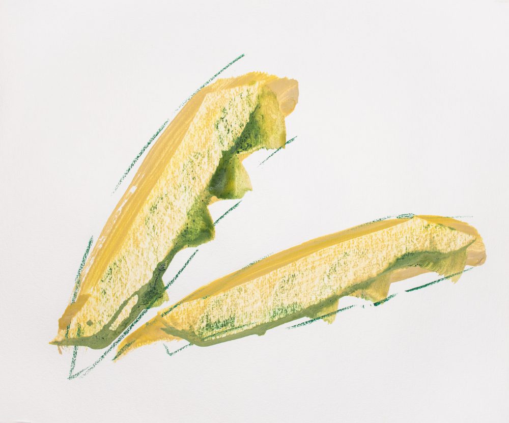 Keisuke Matsuda, “untitled”, 2024, Acrylic and dermatograph on paper, 38.0 x 45.5 cm © Keisuke Matsuda