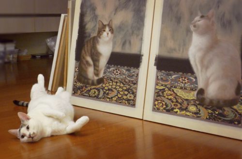 チン・ペイイ個展