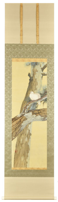 Hada Teruo “Dove”