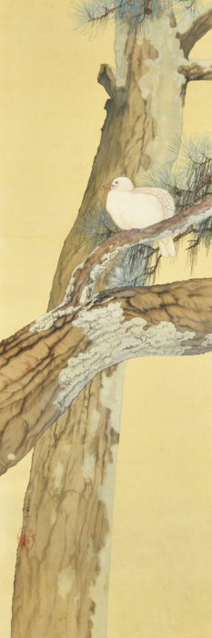 Hada Teruo “Dove”