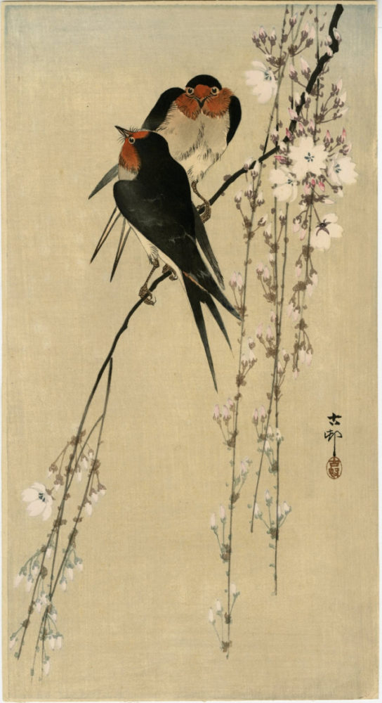小原古邨（祥邨）「燕と桜」　価格160,000円