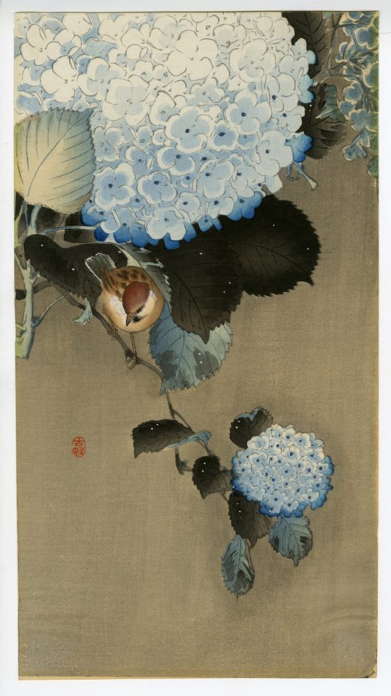 小原古邨（祥邨）「紫陽花に雀」　価格 250,000円（税込）