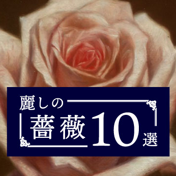 麗しの薔薇 10選
