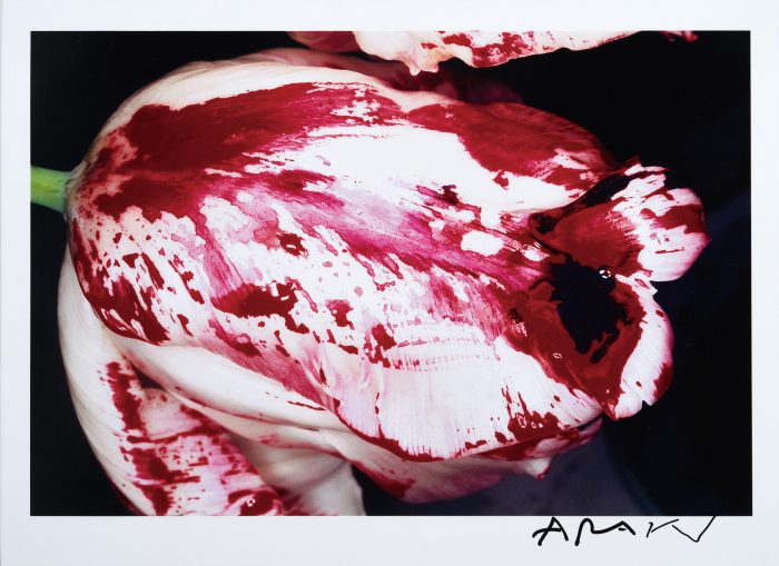 Araki Nobuyoshi “Excerpt from