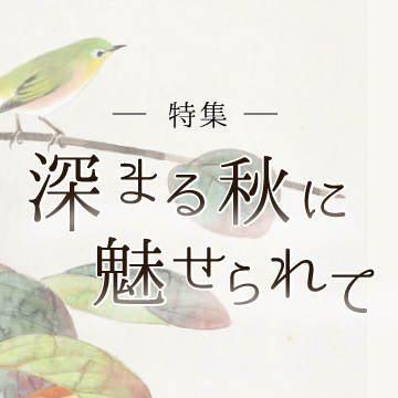 深まる秋に魅せられて