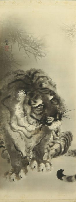Konoshima Okoku “Tiger” 