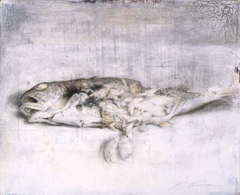魚