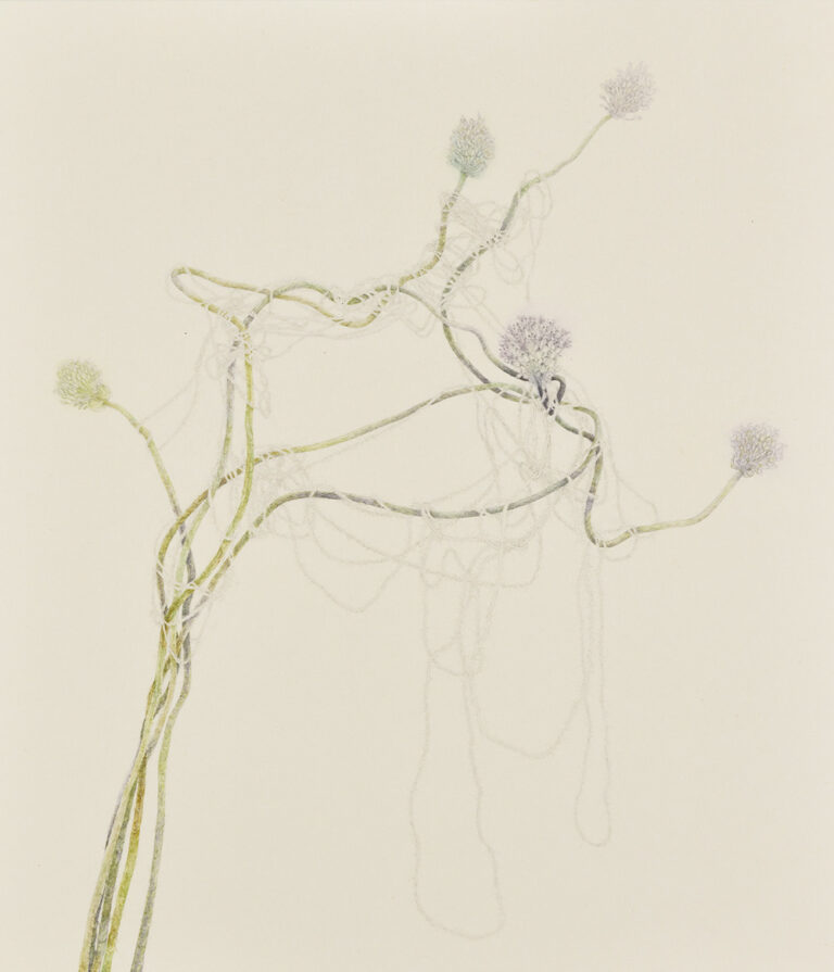 線香花