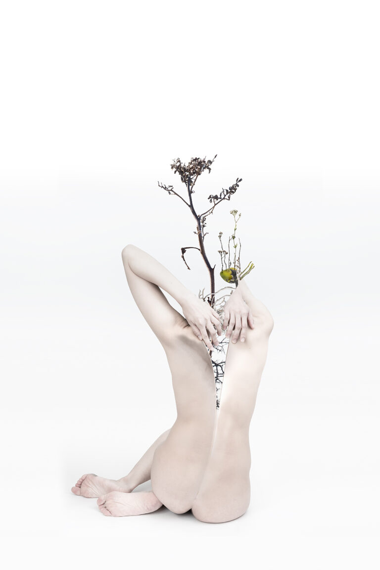 Cordyceps