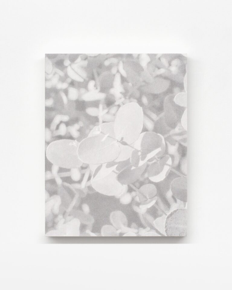 澤田 光琉 / Hikaru Sawada — Calm Tone (graphite)＃19