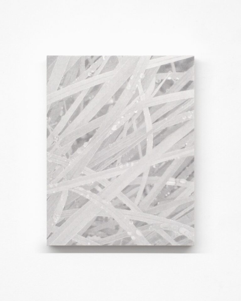 澤田 光琉 / Hikaru Sawada — Calm Tone (graphite)＃20